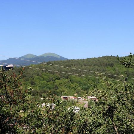 Dilijan Town Inn Екстер'єр фото